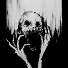 stinkdier thumbnail