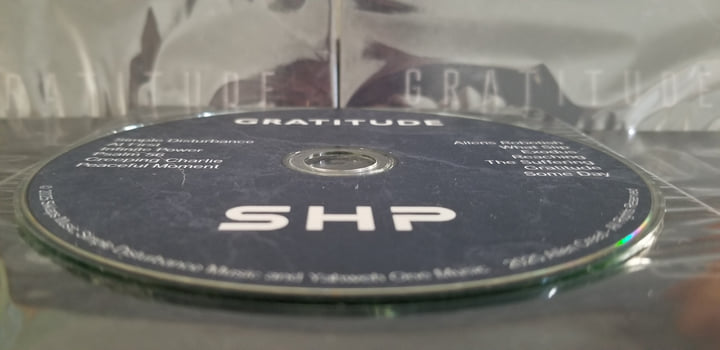 Gratitude | S H P