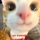 redrumthebum thumbnail