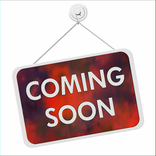 Handmade editions | Maurizio Bianchi / M. B.