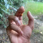 Spingrave thumbnail