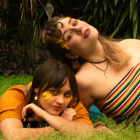 Music | Wild Roots