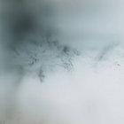 restlicht thumbnail