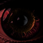 ORTUA thumbnail
