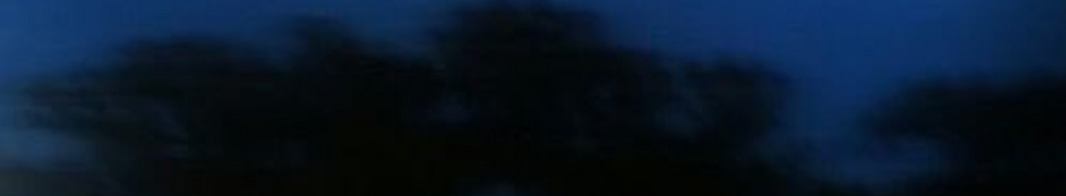 Midi Memory — Photo