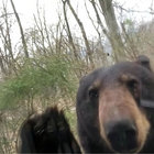 toob_y thumbnail
