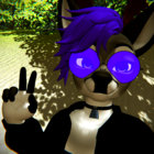 baroquecervidae thumbnail