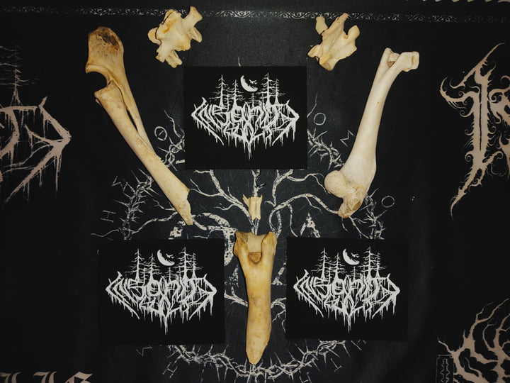 Κάθοδος | Insanity Cult