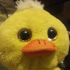 THISDUCKISGOINGTOKILLME thumbnail