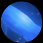 noway thumbnail