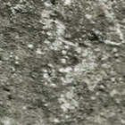Moldy Sound Records thumbnail