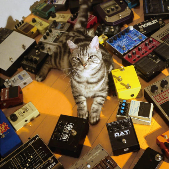 The Brother Kite シューゲイザー Shoegazer 未開封CD crystallize(10th Anniversary Edition) | Tokyo Shoegazer