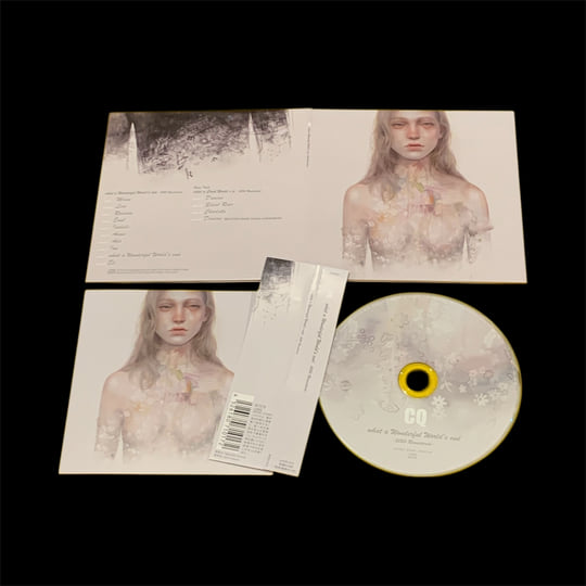 what a Wonderful World's end -2024 Remastered- | CQ Band JP