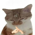slymonsieur thumbnail