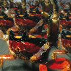 bandalysaba thumbnail