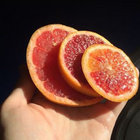emjonaitis thumbnail