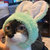 julevendoggo thumbnail