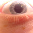 squidiinky thumbnail