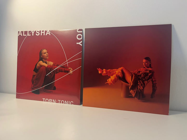 英LP Allysha Joy The Making Of Silk FW304 First Word Records 未開封 /00260 The Making Of Silk | Allysha Joy