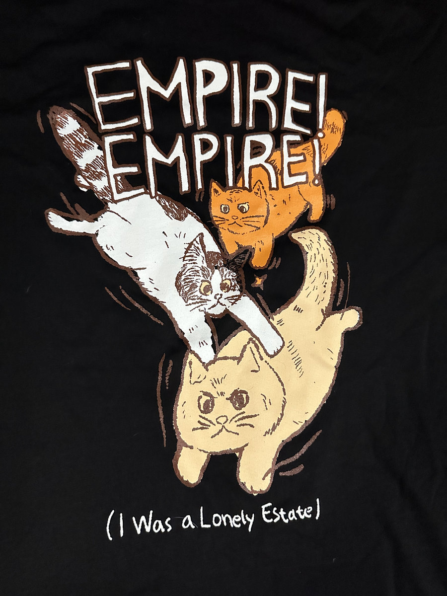 洋楽 empire!empire!( i was a loely estate ) ee_cover_detail.jpeg