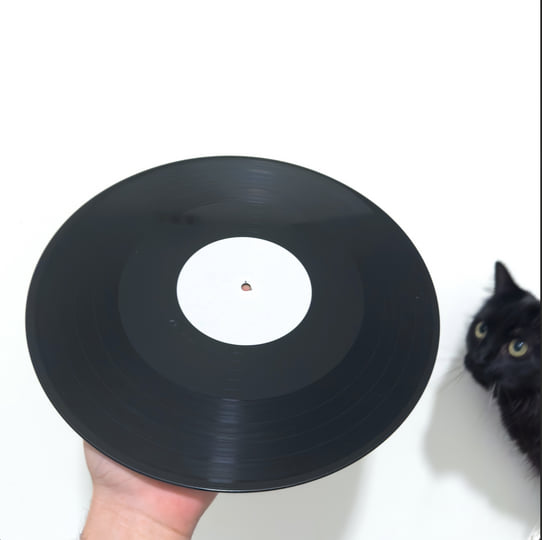 Now That I Have You | Mere Notilde | Montaime