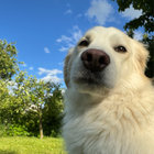 kubja thumbnail