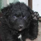 Joey Barks thumbnail