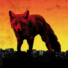 lamefoxtrot thumbnail