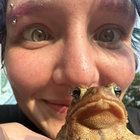 classic-lassic thumbnail