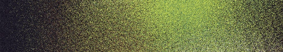 Anura — Photo