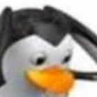 harry thumbnail