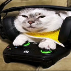 cw7768 thumbnail