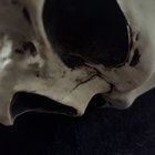 mordegres thumbnail
