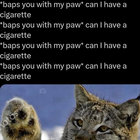 dont_stop_meow thumbnail
