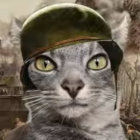 tovster thumbnail