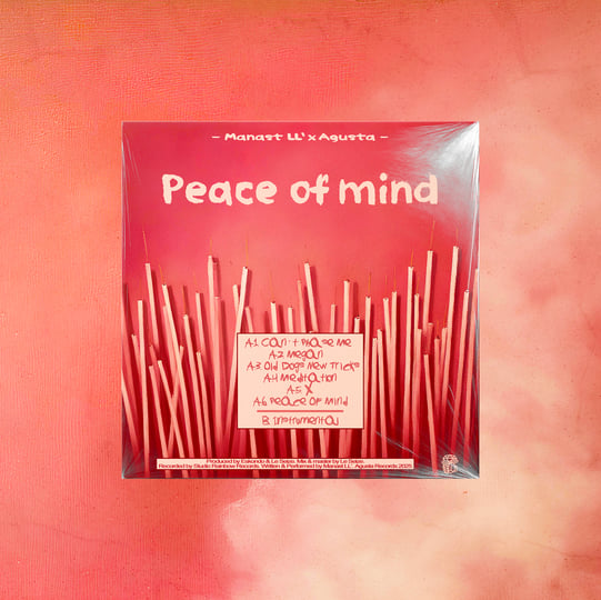 Peace Of Mind / Winston Samuels 再発 Checkout my newest single “Peace Of Mind” : r/altcountry
