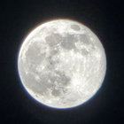 edinorbit thumbnail