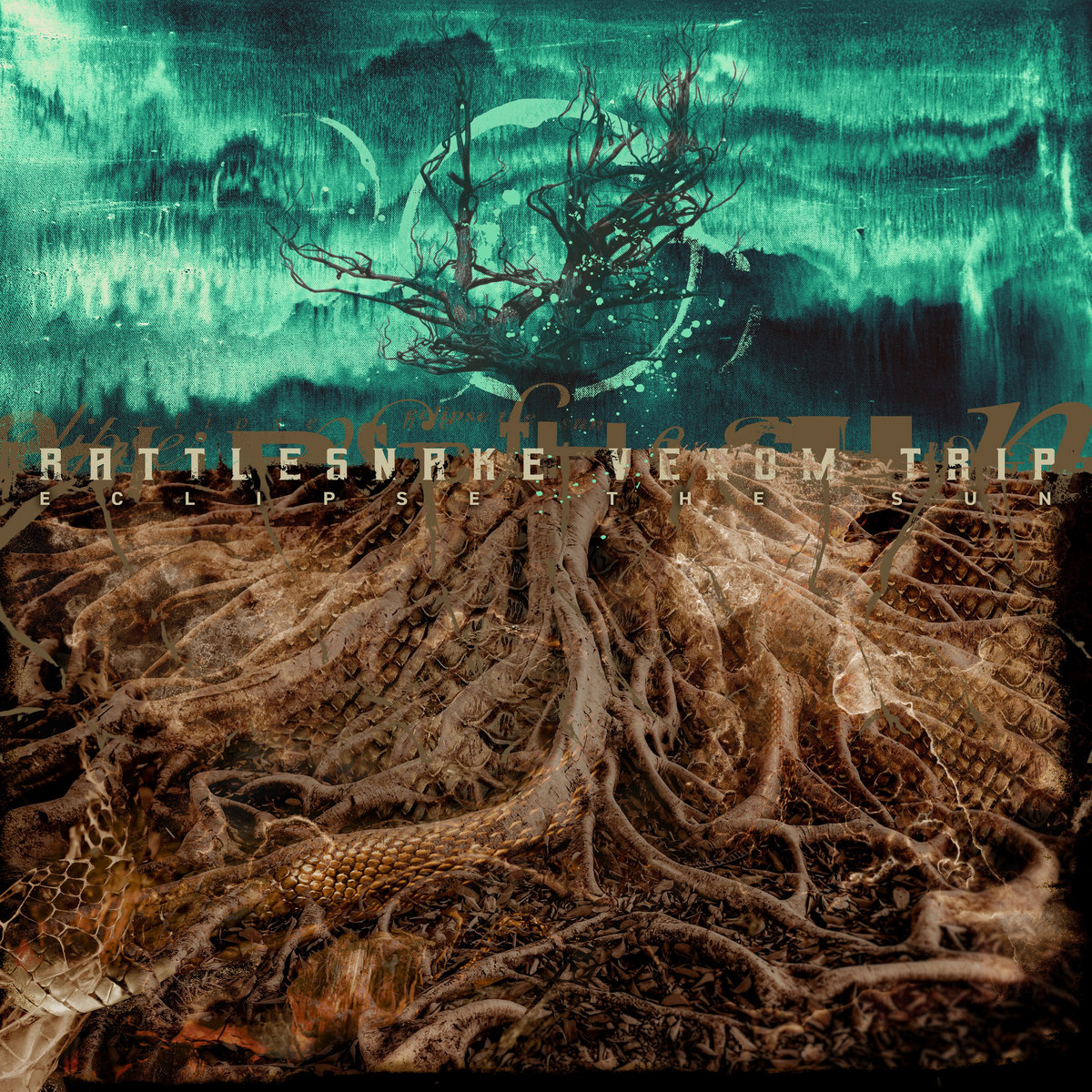 Rattlesnake Venom Trip