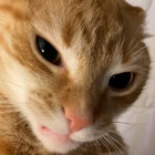 crissi thumbnail