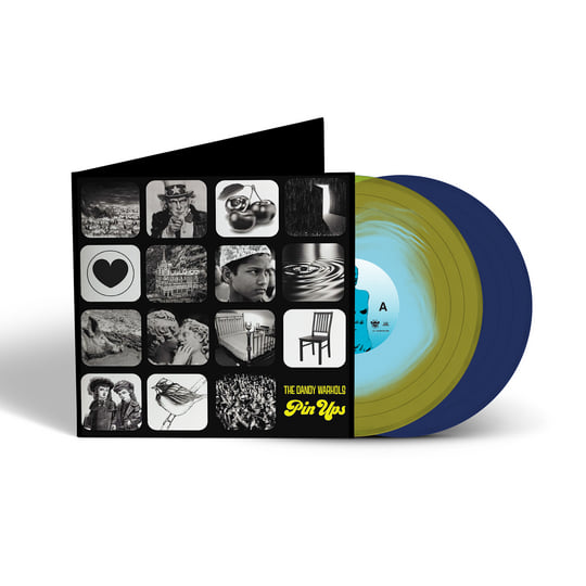 The Dandy Warhols レコード Pin Ups | The Dandy Warhols