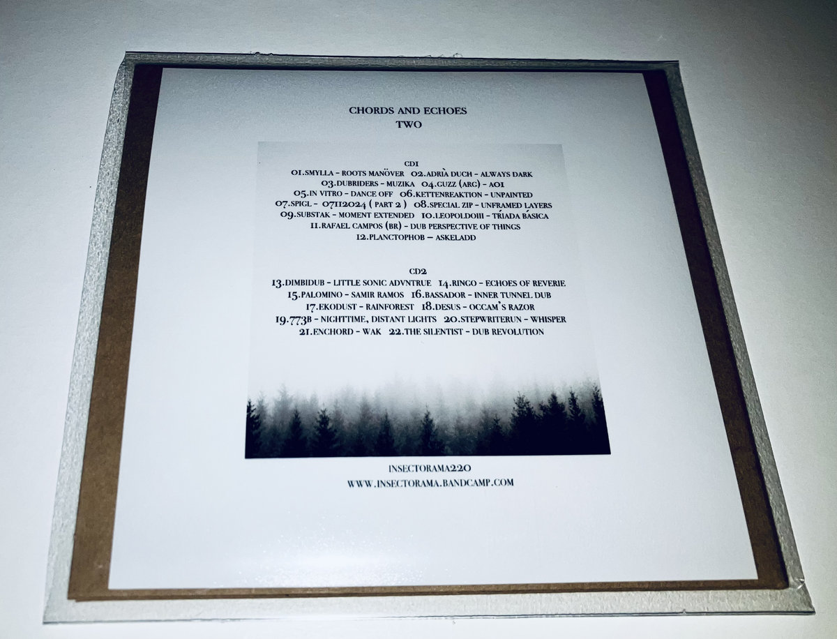 CHORDS AND ECHOES - TWO | Various Artists | insectorama, image size:1200x916