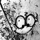 Rosie D'Aiuto thumbnail