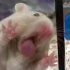 vicentebruto thumbnail