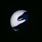 midniterain thumbnail