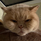 Michael Long thumbnail