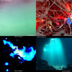 Bob Blackmun thumbnail