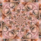 liz o. thumbnail