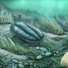 chemolithotroph thumbnail