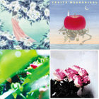 MINUANO LOVE LOGIC アナログレコード LAMP シティポップ MINUANO LOVE LOGIC アナログレコード LAMP シティポップ