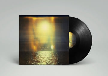 12" Vinyl, image 1